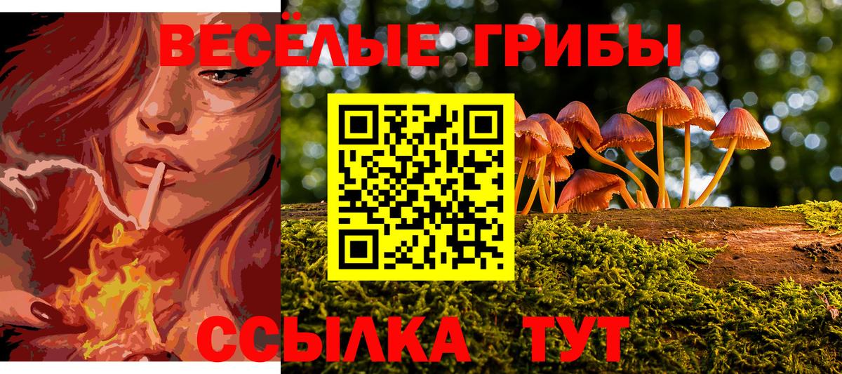 Азнакаево  цены   Вход с VPN  Псилоцибиновые грибы Psilocybe 